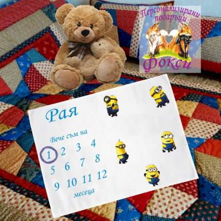 Платно за снимки с месечинки Миньоните Minions
