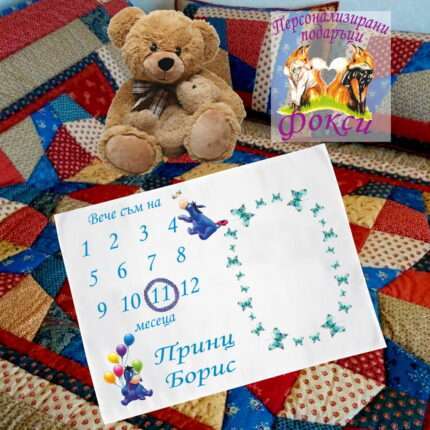 Платно за снимане на бебе месечинка Йори Winnie the Pooh